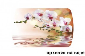 БОСТОН - 3 Стол раздвижной Орхидея на воде 1100/1420 опоры Триумф в Елабуге - elabuga.ok-mebel.com | фото 2