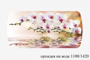 БОСТОН - 3 Стол раздвижной Орхидея на воде 1100/1420 опоры Триумф в Елабуге - elabuga.ok-mebel.com | фото 3