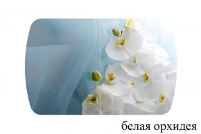 БОСТОН опоры Триумф в Елабуге - elabuga.ok-mebel.com | фото 13