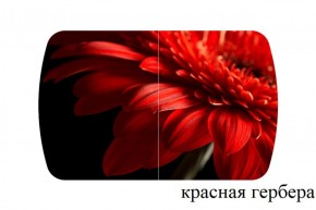 БОСТОН опоры Триумф в Елабуге - elabuga.ok-mebel.com | фото 27