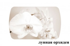 БОСТОН опоры Триумф в Елабуге - elabuga.ok-mebel.com | фото 33
