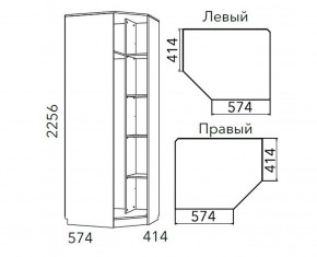 Детская Фанк Шкаф угловой Левый/Правый НМ 013.04-02 М в Елабуге - elabuga.ok-mebel.com | фото 3