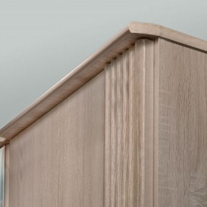 ДИАНА Д11А Шкаф для одежды в Елабуге - elabuga.ok-mebel.com | фото 5