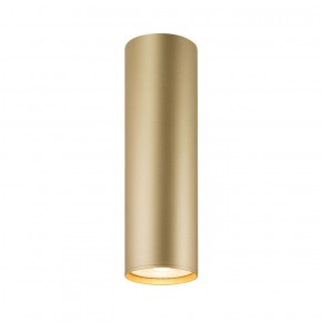 DK2052-SG Накладной светильник, IP 20, 15 Вт, GU10, матовое золото, алюминий в Елабуге - elabuga.ok-mebel.com | фото