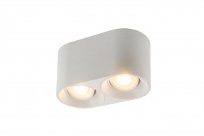 DK3036-WH Светильник накладной IP 20, 10 Вт, GU5.3, LED, белый, пластик в Елабуге - elabuga.ok-mebel.com | фото