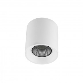 DK3090-WH+CH Светильник накладной IP 20, 10 Вт, GU5.3, LED, белый/хром, пластик в Елабуге - elabuga.ok-mebel.com | фото