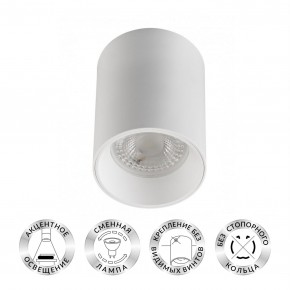 DK3110-WH Светильник накладной IP 20, 10 Вт, GU5.3, LED, белый, пластик в Елабуге - elabuga.ok-mebel.com | фото