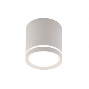 DK4013-WH Светильник накладной IP 20, 5 Вт, LED 4000, белый, алюминий/акрил в Елабуге - elabuga.ok-mebel.com | фото