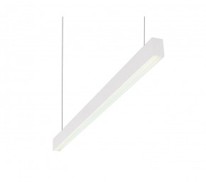 DK9124-WH Линейный светильник 30W 1250mm 4000K, белый в Елабуге - elabuga.ok-mebel.com | фото