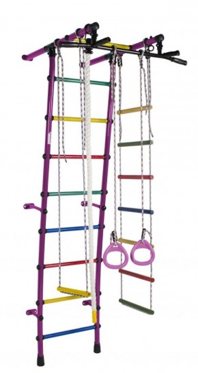 ДСК Стелла цв.фиолетовый радуга: турник, кольца, канат, трапеция, веревочная лестница в Елабуге - elabuga.ok-mebel.com | фото