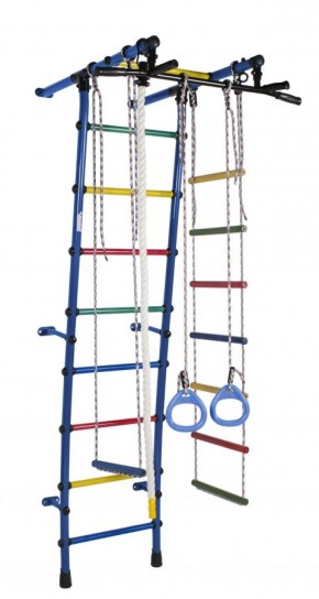 ДСК Стелла цв.синий радуга: турник, кольца, канат, трапеция, веревочная лестница в Елабуге - elabuga.ok-mebel.com | фото