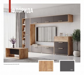 ФЛОРИДА Гостиная (модульная) дуб золотой/графит в Елабуге - elabuga.ok-mebel.com | фото