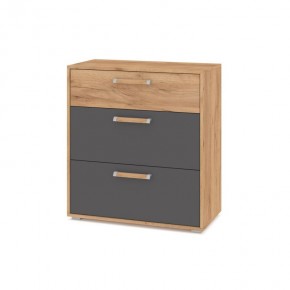 ФЛОРИДА Гостиная (модульная) дуб золотой/графит в Елабуге - elabuga.ok-mebel.com | фото 8