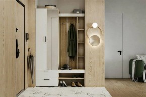 Гарнитур для прихожей Торонто в Елабуге - elabuga.ok-mebel.com | фото 5