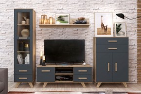 Гостиная Вега Скандинавия (комплект 7) в Елабуге - elabuga.ok-mebel.com | фото 2