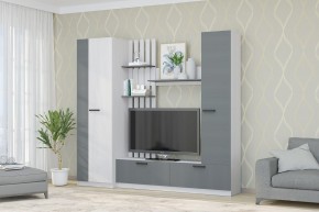 Гостиная Юджи (Анкор светлый/Графит) в Елабуге - elabuga.ok-mebel.com | фото
