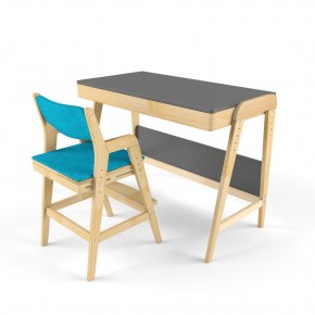 Комплект растущий стол и стул с чехлом 38 попугаев «Вуди» (Серый, Без покрытия, Лазурь) в Елабуге - elabuga.ok-mebel.com | фото