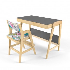 Комплект растущий стол и стул с чехлом 38 попугаев «Вуди» (Серый, Без покрытия, Мечта) в Елабуге - elabuga.ok-mebel.com | фото