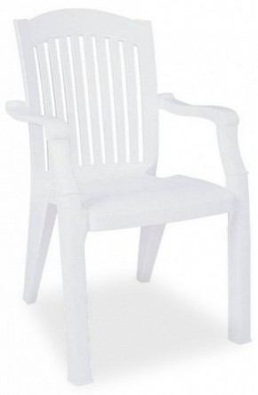 Кресло Classic в Елабуге - elabuga.ok-mebel.com | фото
