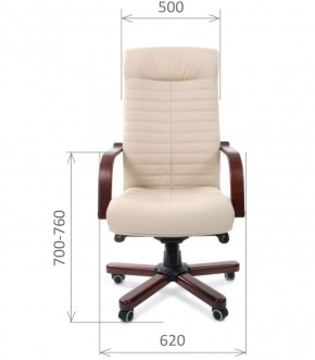 Кресло для руководителя CHAIRMAN 480 N WD (Экокожа) в Елабуге - elabuga.ok-mebel.com | фото 6