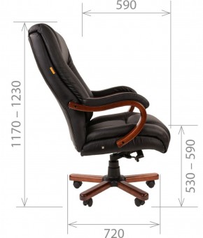 Кресло для руководителя CHAIRMAN  503 (Кожа) Черное в Елабуге - elabuga.ok-mebel.com | фото 5