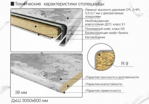 Кухонный фартук со столешницей (А-010) в едином стиле (3050 мм) в Елабуге - elabuga.ok-mebel.com | фото 7