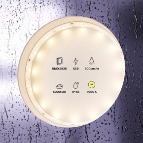Лента светодиодная Maytoni Led strip 10105 в Елабуге - elabuga.ok-mebel.com | фото 2