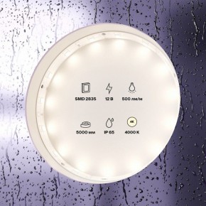 Лента светодиодная Maytoni Led strip 10106 в Елабуге - elabuga.ok-mebel.com | фото 2