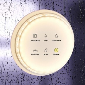 Лента светодиодная Maytoni Led strip 10117 в Елабуге - elabuga.ok-mebel.com | фото 2