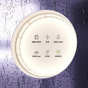 Лента светодиодная Maytoni Led strip 10118 в Елабуге - elabuga.ok-mebel.com | фото 2