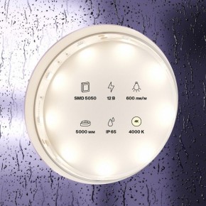 Лента светодиодная Maytoni Led strip 10124 в Елабуге - elabuga.ok-mebel.com | фото 2
