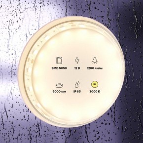 Лента светодиодная Maytoni Led strip 10131 в Елабуге - elabuga.ok-mebel.com | фото 2