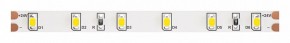 Лента светодиодная Maytoni Led strip 10138 в Елабуге - elabuga.ok-mebel.com | фото