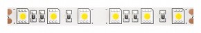 Лента светодиодная Maytoni Led strip 10170 в Елабуге - elabuga.ok-mebel.com | фото