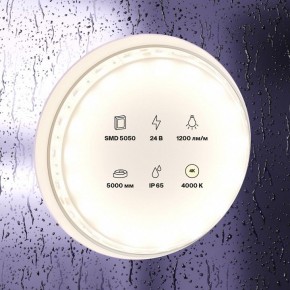 Лента светодиодная Maytoni Led strip 10172 в Елабуге - elabuga.ok-mebel.com | фото 2