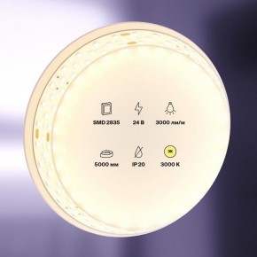 Лента светодиодная Maytoni Led strip 20031 в Елабуге - elabuga.ok-mebel.com | фото 2