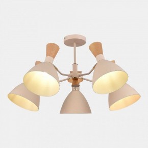 Люстра на штанге EVOLUCE VISTA SLE1256-502-05 в Елабуге - elabuga.ok-mebel.com | фото 5