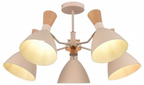 Люстра на штанге EVOLUCE VISTA SLE1256-502-05 в Елабуге - elabuga.ok-mebel.com | фото 6
