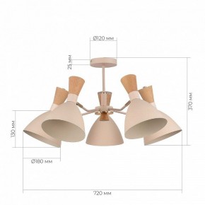 Люстра на штанге EVOLUCE VISTA SLE1256-502-05 в Елабуге - elabuga.ok-mebel.com | фото 8