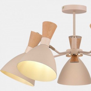 Люстра на штанге EVOLUCE VISTA SLE1256-502-05 в Елабуге - elabuga.ok-mebel.com | фото 9