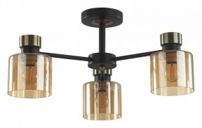 Люстра на штанге Lumion ARLIN 5643/3C в Елабуге - elabuga.ok-mebel.com | фото