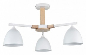 Люстра на штанге Lumion Colange 8095/3C в Елабуге - elabuga.ok-mebel.com | фото