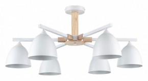 Люстра на штанге Lumion Colange 8095/6C в Елабуге - elabuga.ok-mebel.com | фото