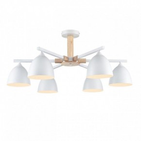 Люстра на штанге Lumion Colange 8095/6C в Елабуге - elabuga.ok-mebel.com | фото 2
