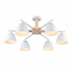 Люстра на штанге Lumion Colange 8095/6C в Елабуге - elabuga.ok-mebel.com | фото 3