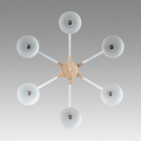 Люстра на штанге Lumion Colange 8095/6C в Елабуге - elabuga.ok-mebel.com | фото 4