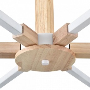 Люстра на штанге Lumion Colange 8095/6C в Елабуге - elabuga.ok-mebel.com | фото 7