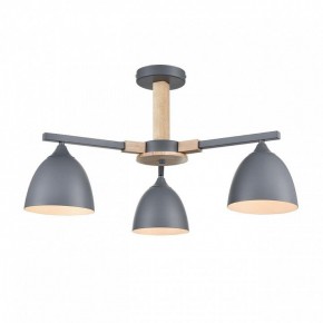 Люстра на штанге Lumion Colange 8096/3C в Елабуге - elabuga.ok-mebel.com | фото 2