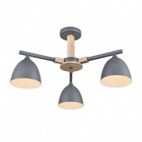 Люстра на штанге Lumion Colange 8096/3C в Елабуге - elabuga.ok-mebel.com | фото 3