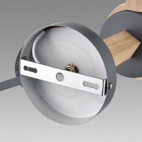 Люстра на штанге Lumion Colange 8096/3C в Елабуге - elabuga.ok-mebel.com | фото 6